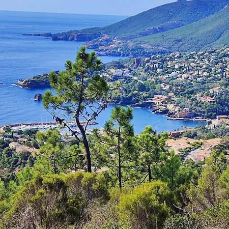 Piscine Chauffee A Debordement Au Cap De L'esterel ! Entre Theoule Et Saint-raphael Апартаменты *